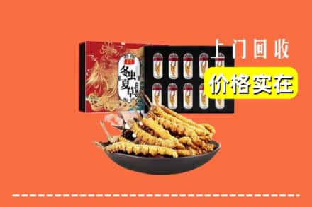 东港市回收冬虫夏草